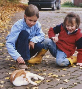 Katzenfreunde